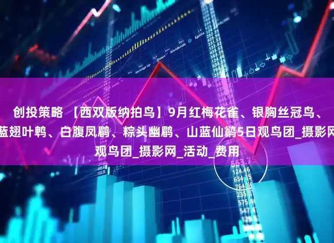 创投策略 【西双版纳拍鸟】9月红梅花雀、银胸丝冠鸟、黑枕王鹟、蓝翅叶鹎、白腹凤鹛、粽头幽鹛、山蓝仙鹟5日观鸟团_摄影网_活动_费用
