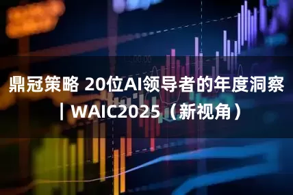 鼎冠策略 20位AI领导者的年度洞察｜WAIC2025（新视角）